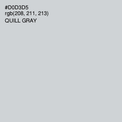 #D0D3D5 - Quill Gray Color Image